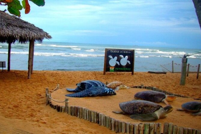 Beach Getaway – Praia Do Forte and Guarajuba