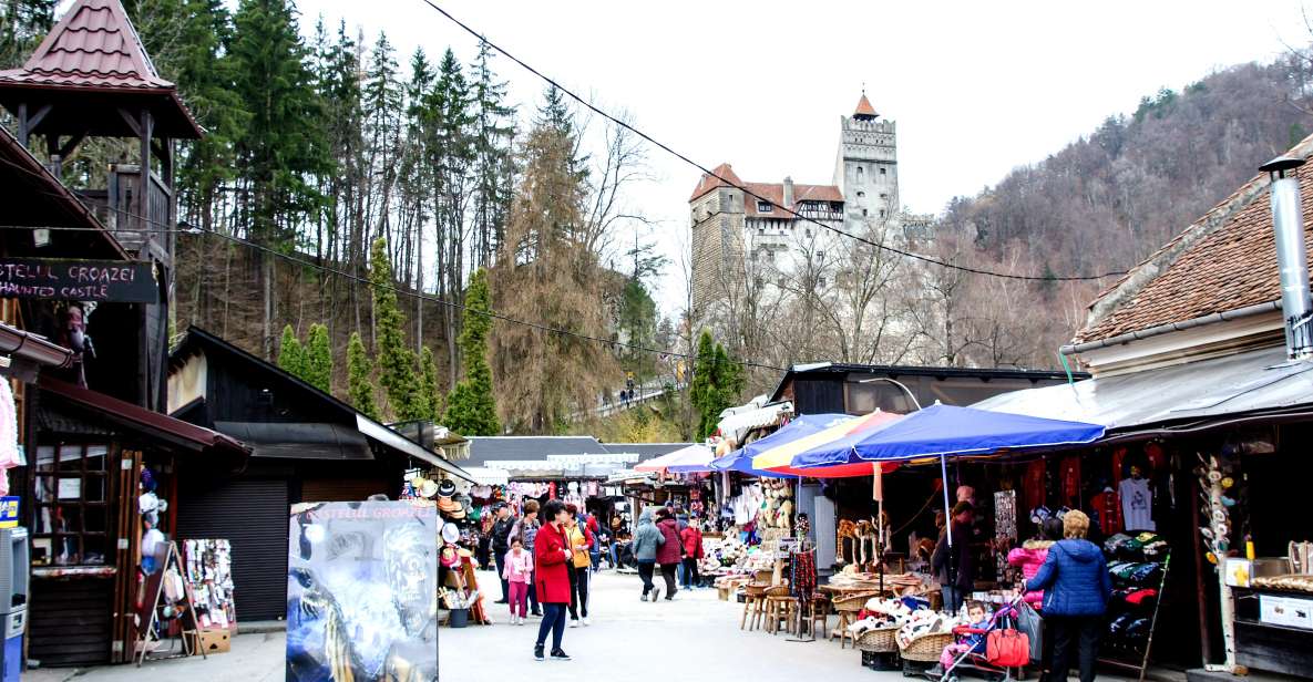 Bear Sanctuary & Bran Castle & Airport OTP From Brasov - Overview of the Tour