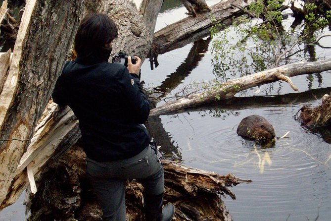 Beavers Watching - Tour Overview