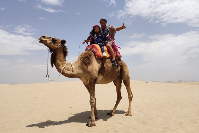 Bedouin Adventure: Dromedaries in the Desert