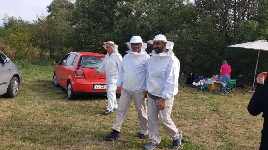 Bees in Romania - Private Beekeeping Lesson and Local Lunch