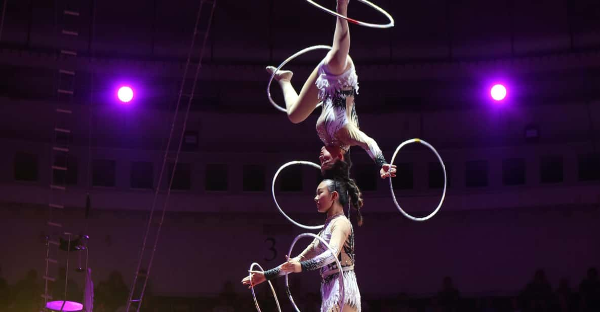 Beijing Group Tour of Acrobatics Show and Peking Duck Dinner - Tour Overview and Pricing