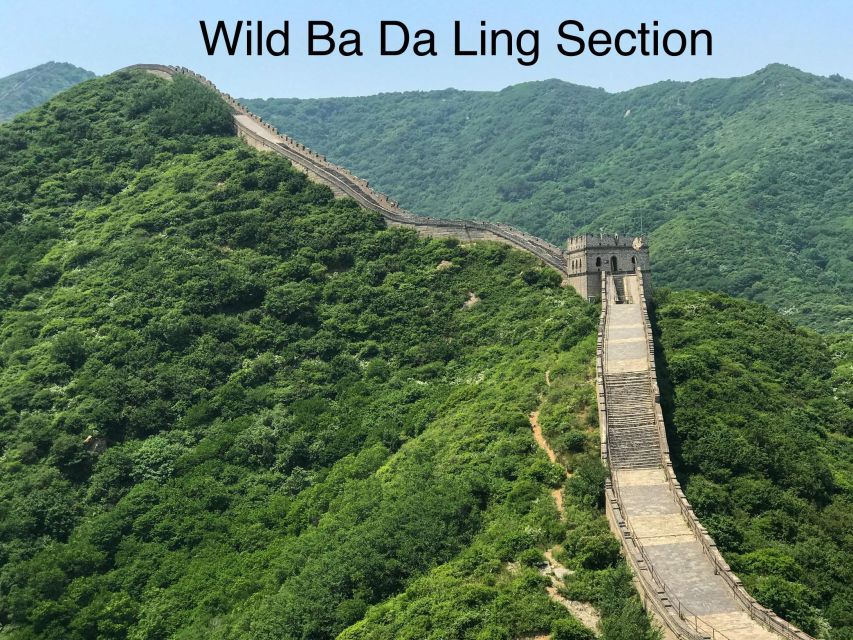 Beijing Private Great Wall Day Tour - Tour Overview