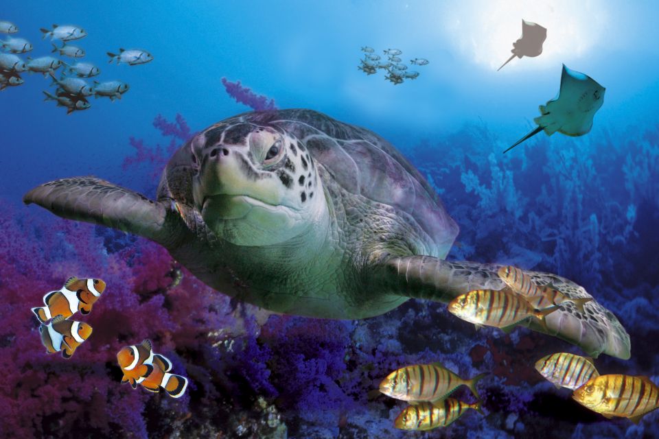 Benalmadena Aquarium Visit - Ticket Information and Pricing