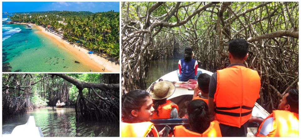 Bentota Beach, River Mangroves Lagoon, Wildlife Tour - Tour Overview