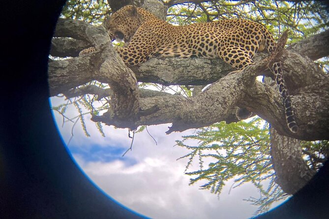 Best of Tanzania 5days 4nights Safari