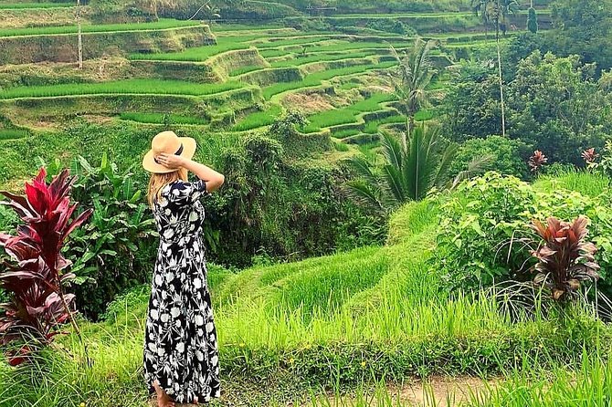 Best of Ubud - Kintamani Volcano View - Private Tour - Highlights of the Tour