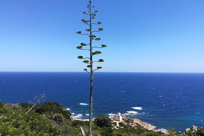 Biderosa and Capo Comino Beach Tour