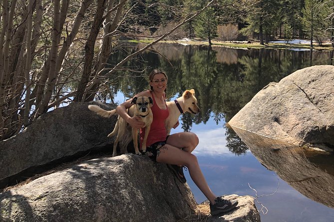 3 Best Tours In Big Bear