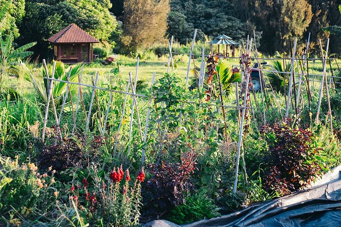 Big Island Farms Tour in Hawaii