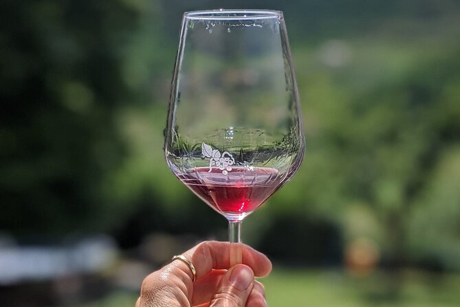 Bike Ride & WIne Tasting