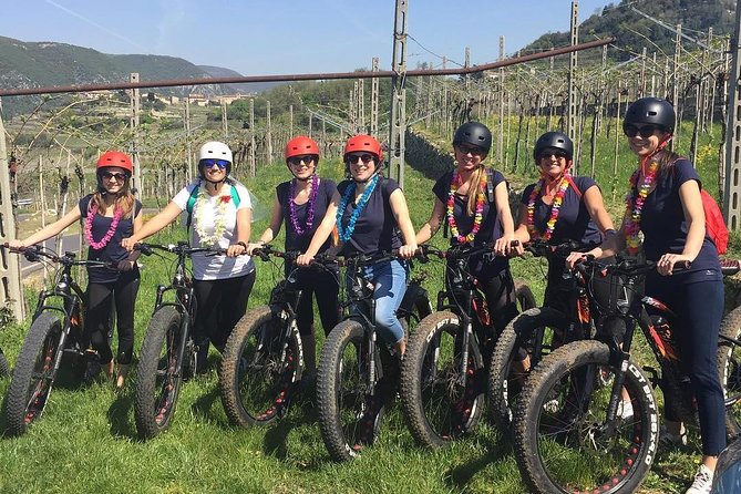 Bike Station Valpolicella: E-Bike Tour & Amarone Tasting