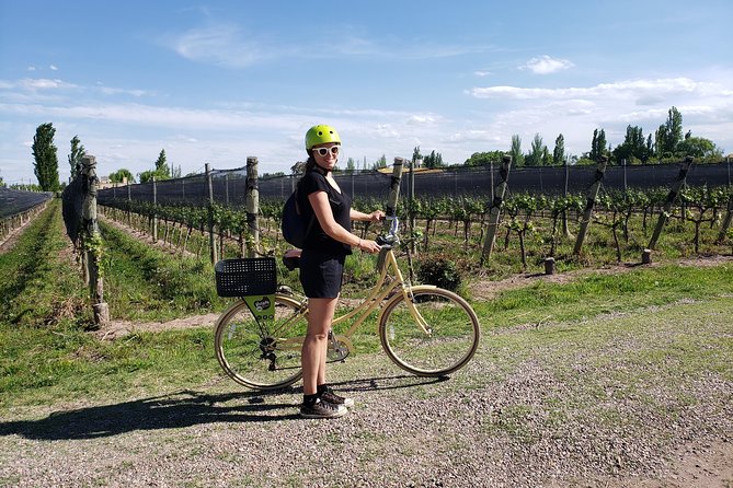 Bike, Wines & Lunch at Luján De Cuyo (Mendoza)