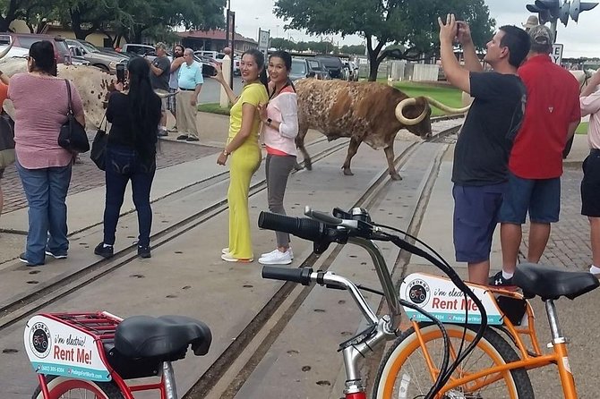 Bikes and BBQ: Electric Bike Tour of Fort Worth