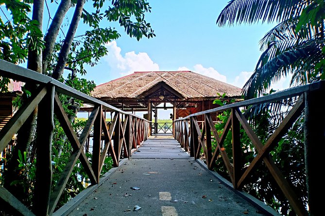 Bintan Mangrove Discovery Tour - Inclusions of the Tour