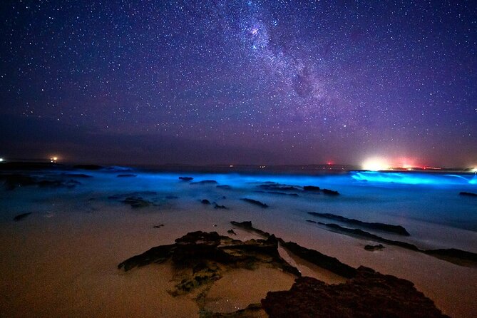 Bioluminescence Clear Kayak or Paddleboard Tour Near Orlando