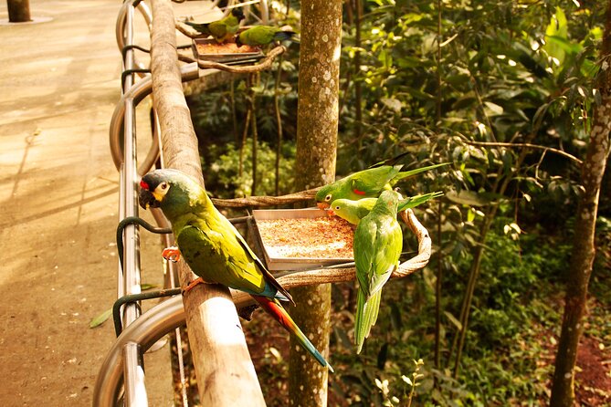 Bird Park General Admission Ticket and Tour