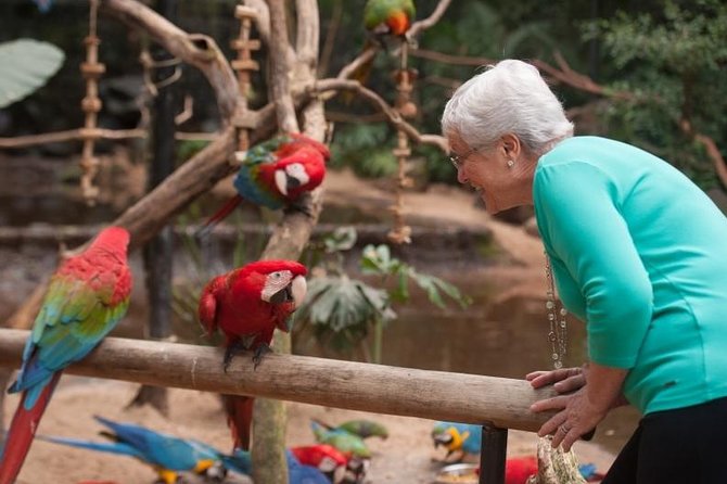 2 Best Private Tours In South Brazil