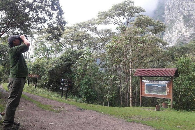 Birding & Nature to Chicaque Cloud Forest Nature Reserve - Tour Overview