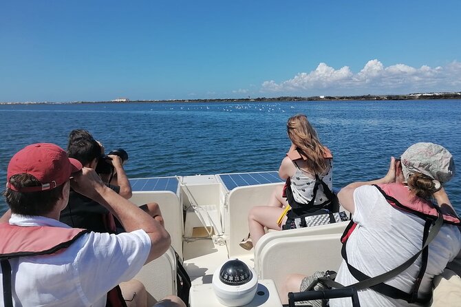 Birdwatching in Ria Formosa – Eco Boat Tour From Faro