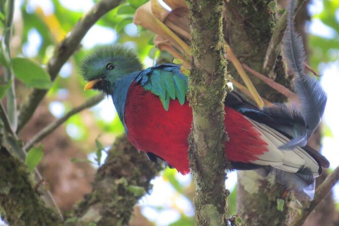 4 Best National Park Tours In Costa Rica