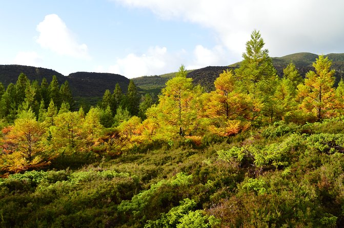 Black Mysteries Hiking Trail – Terceira Azores
