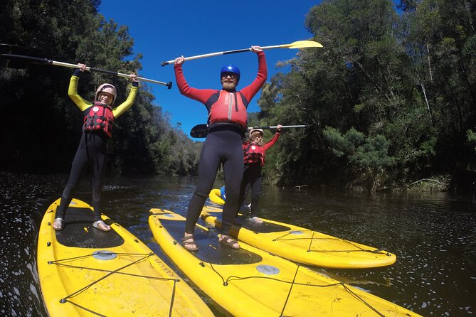 Blackwater Tubing Green Route Forest Adventure - About the Adventure