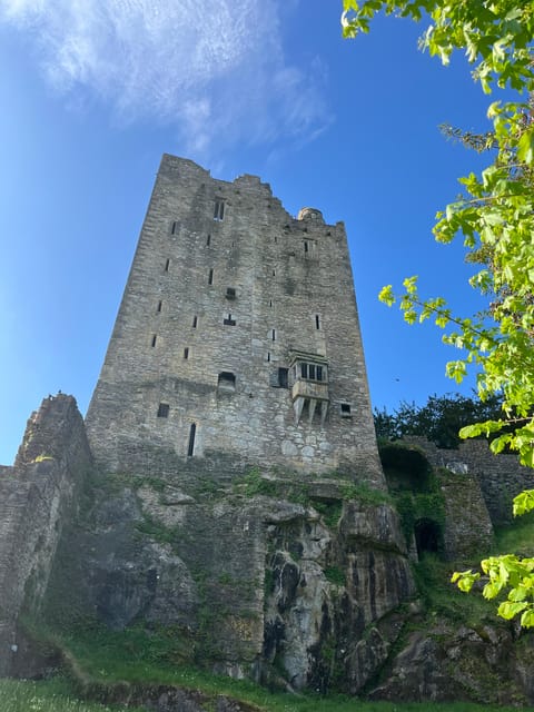 Blarney Castle and Cork City:Private Taxi Tour . - Tour Overview and Pricing