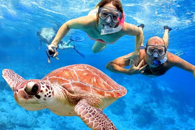 Blow Lagoon Bali Snorkeling and See Bali Bats Cave Temple