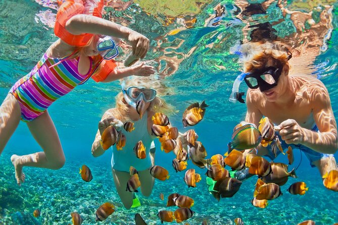 Blue Lagoon Snorkeling – Cave Waterfall – And More – All Included + FREE Wi-Fi