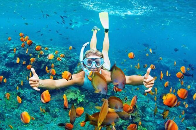 Blue Lagoon & Tanjung Jepun Snorkeling Private Tour