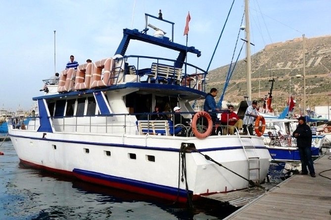Boat Tours in Agadir Lunch Including ( See Food ) - Overview of Boat Tours