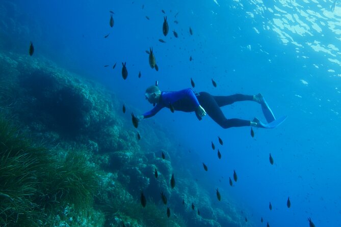 Boat Trip and Snorkeling in Villefranche-Sur-Mer - Equipment and Safety