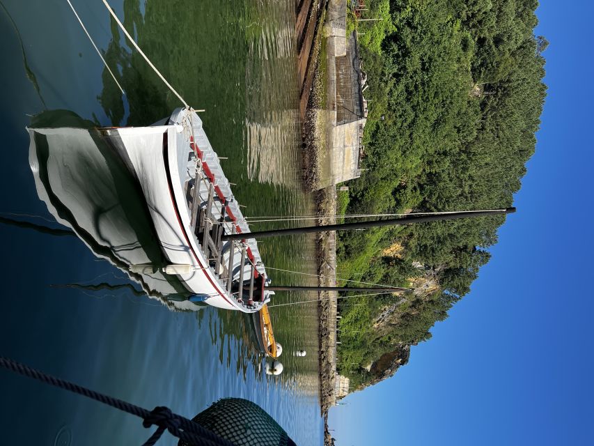 Boat Trip From Donostia San Sebastián to Albaola Museum - Overview of the Boat Trip