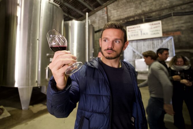 Bordeaux: Full Day Wine Tastings & Gourmet Lunch