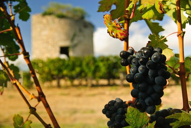 Bordeaux Super Saver Historic Gourmet Walking Tour With Lunch and Médoc Tour