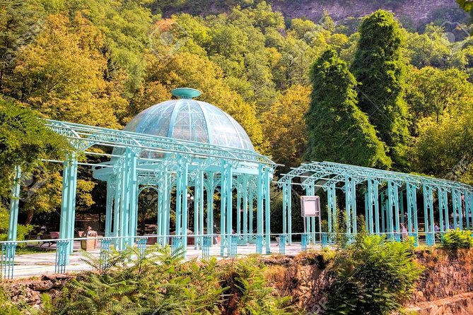 Borjomi National Park Full Day Private Tour From Tbilisi