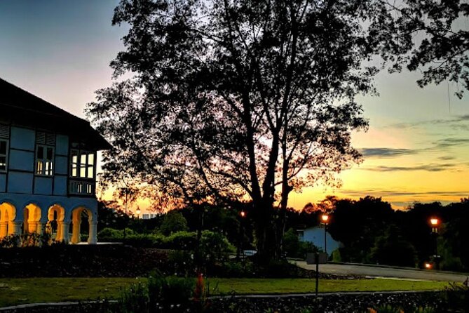 Botanic Gardens & Tiong Bahru Walking Tour With Breakfast