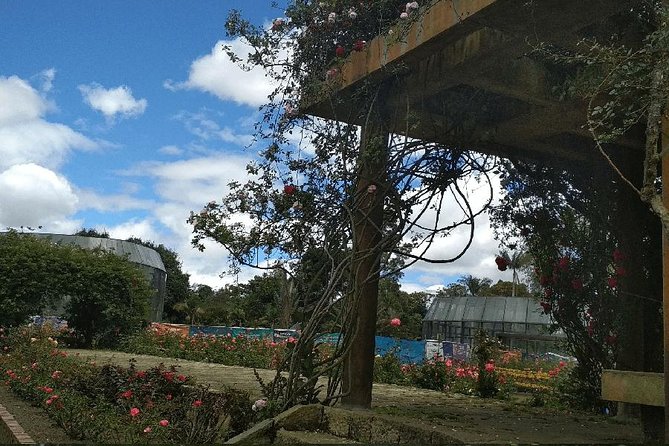 Botanical Garden Bogotá Private Tour (4 Hrs.)