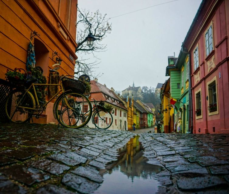 Brasov: Private Guided Day Trip to Sighisoara and Viscri - Trip Overview