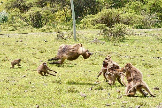 Breathtaking Nature, Wildlife and Cave Church Tour - Free Pickups