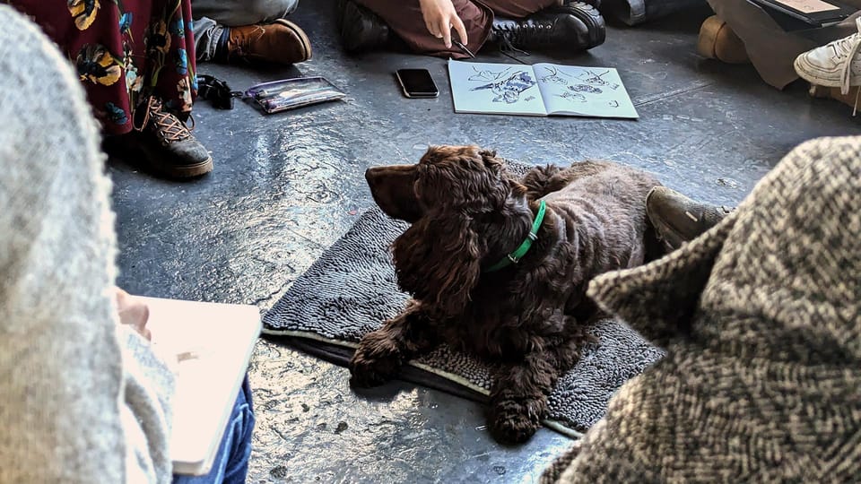 Bristol: Dog Life Drawing Led by Local Artist Cai Burton - Event Details and Highlights