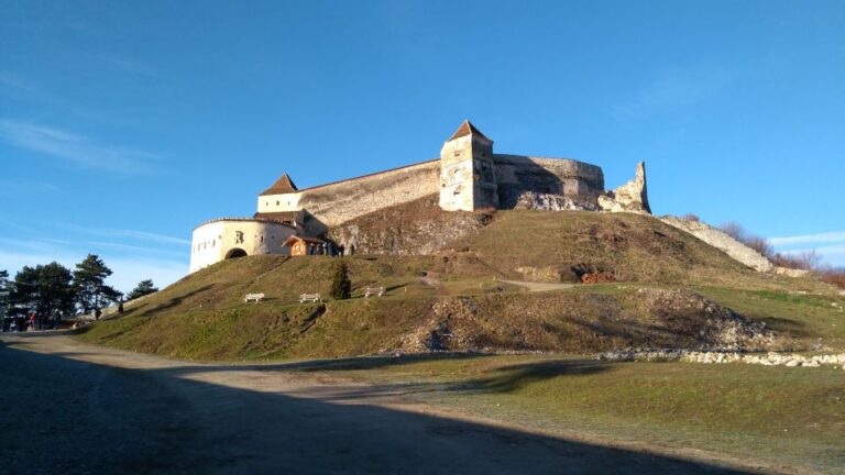 Brown Bear Sanctuary, Bran Castle & Rasnov Fortress Day Tour