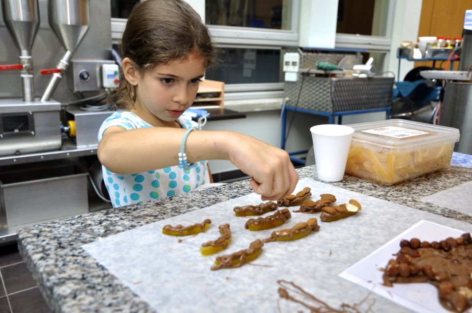 Bruges: Chocolate Making Workshop and Chocolate Museum Entry - Overview of the Experience