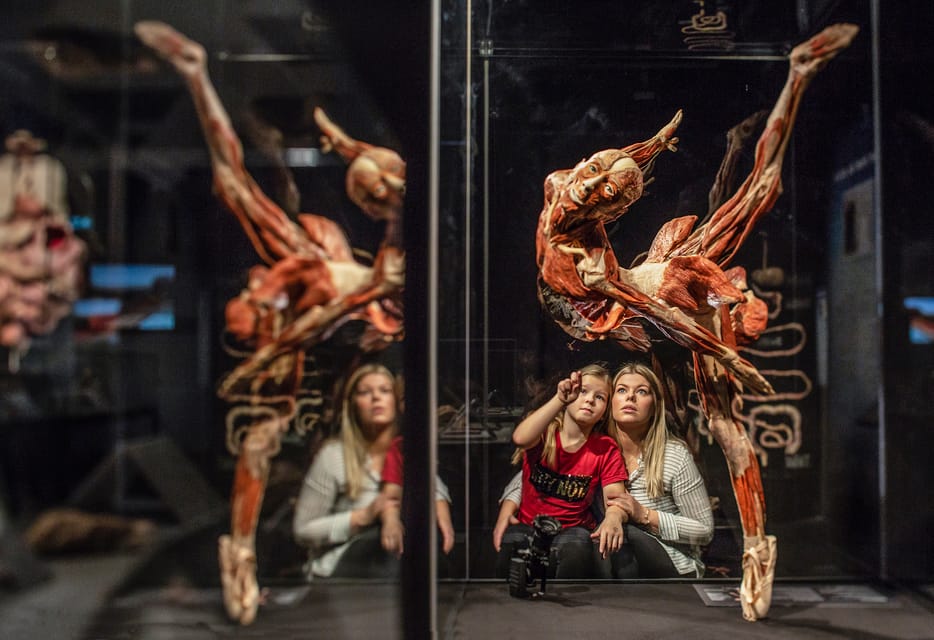 Bruges: Ticket to the Body Worlds Expo at the Oud Sint-Jan Site - Ticket Pricing and Options