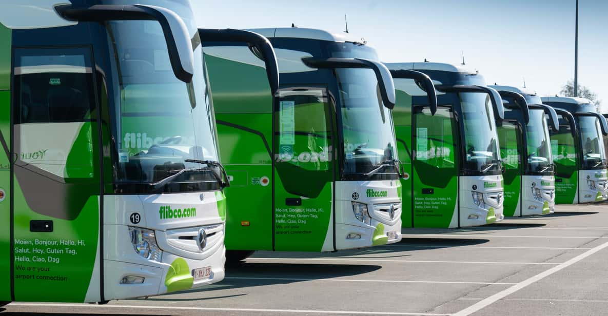 Brussels Airport: Bus Transfer From/To Breda Netherlands - Pricing and Booking