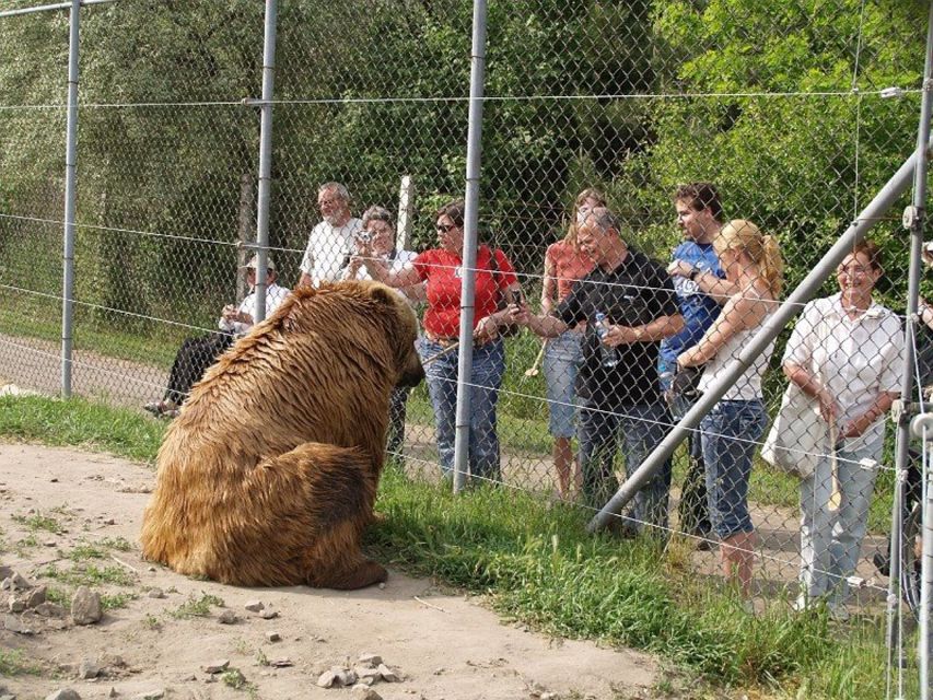 Budapest: Transport & Guided Tour of Bear and Wolf Sanctuary - Overview of the Tour