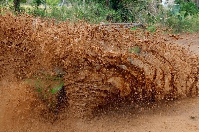 Buggie Adventure Bayahibe