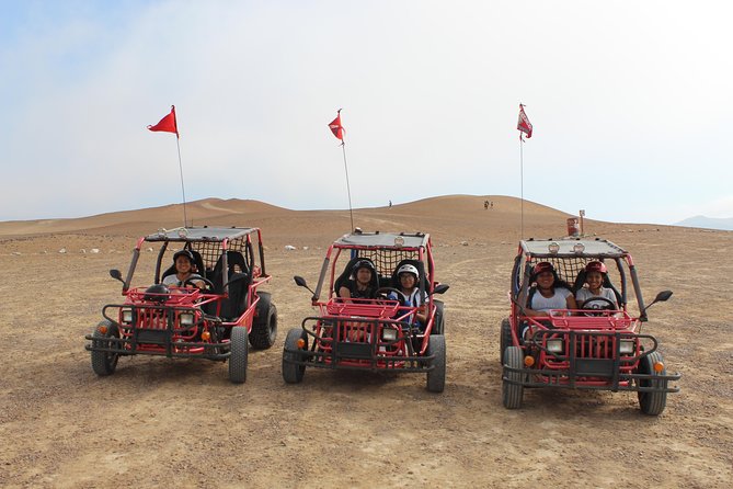 Buggy Tour Paracas National Reserve