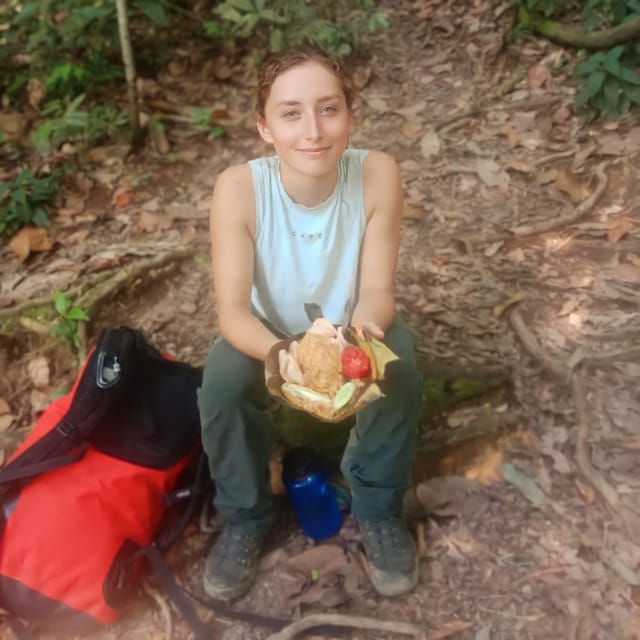 Bukit Lawang: 4-Day Orangutan Jungle Trekking Adventure - Overview of the Adventure